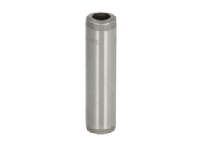 4802126 Ghid supapa 8x14x56mm