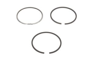 30/34-173 Segmenti Piston Ø 100 3.5x2.5x3.5 mm