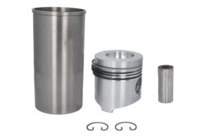 F158200310010 Ansamblu piston KS
