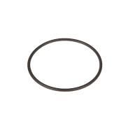 1610254M1 O-ring PTO