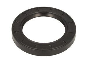 Simering 55x80x10mm