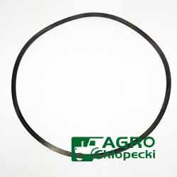 F824100100450 Arc Disc Frictiune