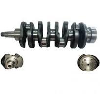 * Arbore SBA115256750