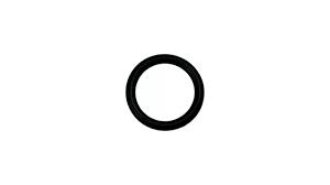 O-ring Manitou 189956