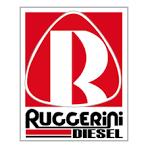 054R018 Simering Palier Ruggerini