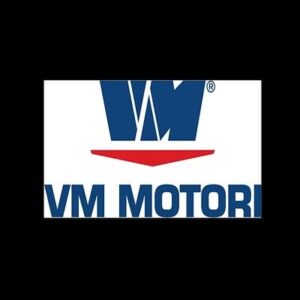 Set garnituri VM Motori 12032158F