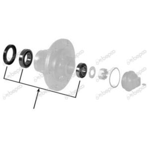 Set Rulmenti Roata 1639082M91, 1810416M91,