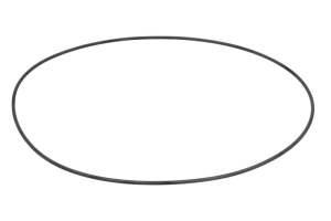 O-ring 6195609M1 87701310