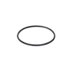 9846875 O-Ring CNH